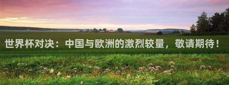 世界杯比赛:世界杯对决:中国与欧洲的激烈较量,敬请期待!