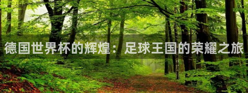 2026世界杯亚洲预选赛赛程:德国世界杯的辉煌:足球王国的荣耀之旅