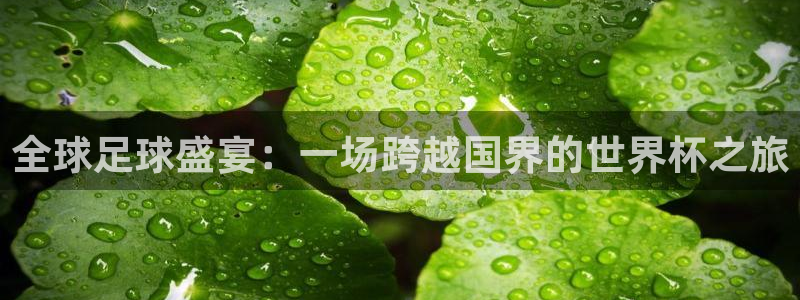 世界杯比赛直播:全球足球盛宴:一场跨越国界的世界杯之旅