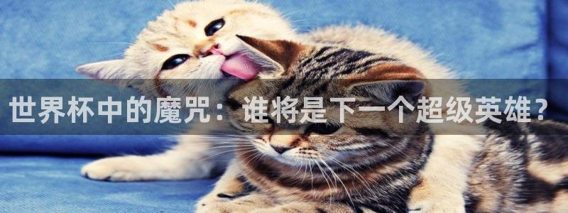 2026世界杯直播免费观看:世界杯中的魔咒:谁将是下一个超级英雄?