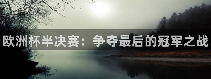 世界杯直播平台:欧洲杯半决赛:争夺最后的冠军之战
