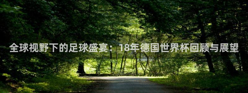 2026葡萄牙杯赛程表:全球视野下的足球盛宴:18年德国世界杯回顾与展望