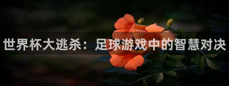 2026世亚预赛赛程表:世界杯大逃杀:足球游戏中的智慧对决